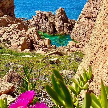 Casa Paradiso *