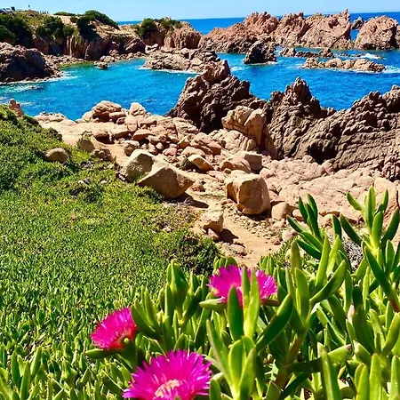 Casa Paradiso *